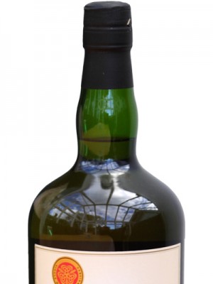 Dun Leire  8 Year Old